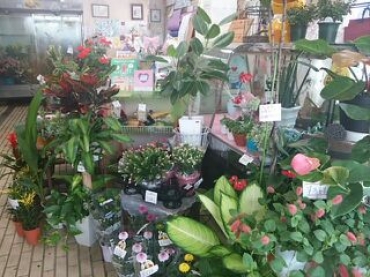 「城西生花店」　（愛知県安城市）の花屋店舗写真2